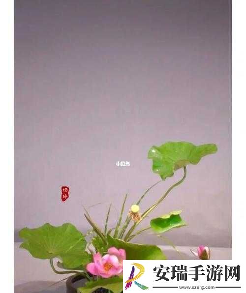 插花弄玉曲径通幽又重新上线了