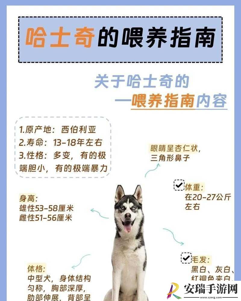人狗胶配方大全狗狗使用