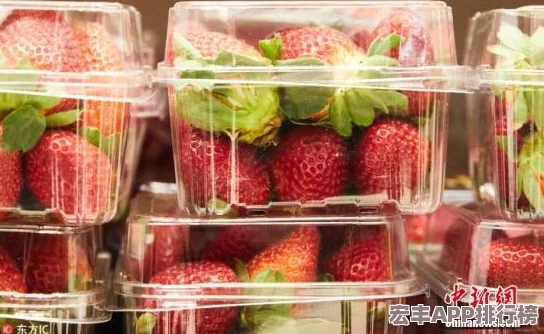 香蕉草莓芭乐鸭脖奶茶千层浪