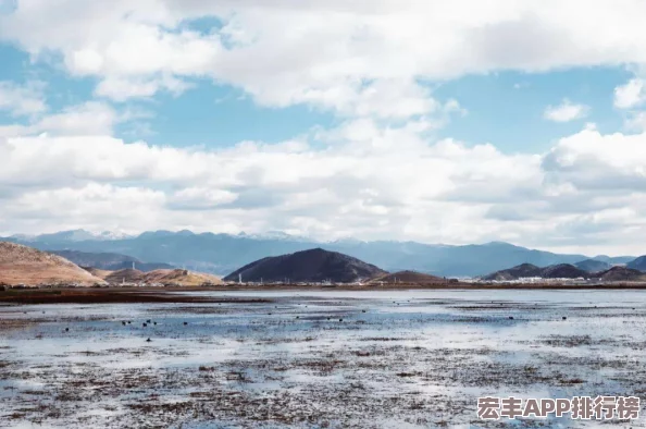 念念不忘