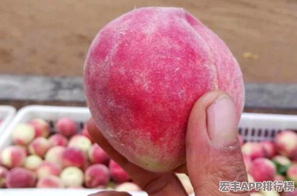 坤坤寒进桃子里的解决方法
