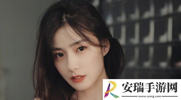 成免费CRM播放模式的特点用户友好网友