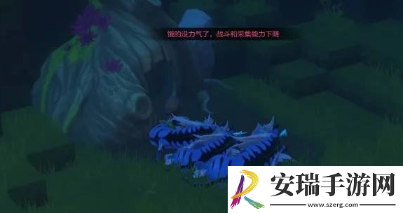 我的起源1598宠物蛋的位置在哪里