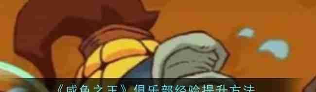 咸鱼之王俱乐部经验提升方法