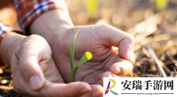 校园绑定JY收集系统宋涵