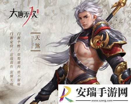 大唐无双都有哪一些职业玩家