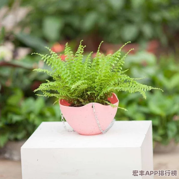 我老公说想在阳台爱我是什么心理