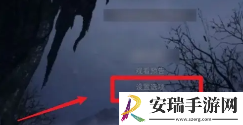 生化危机4手机版怎么调中文