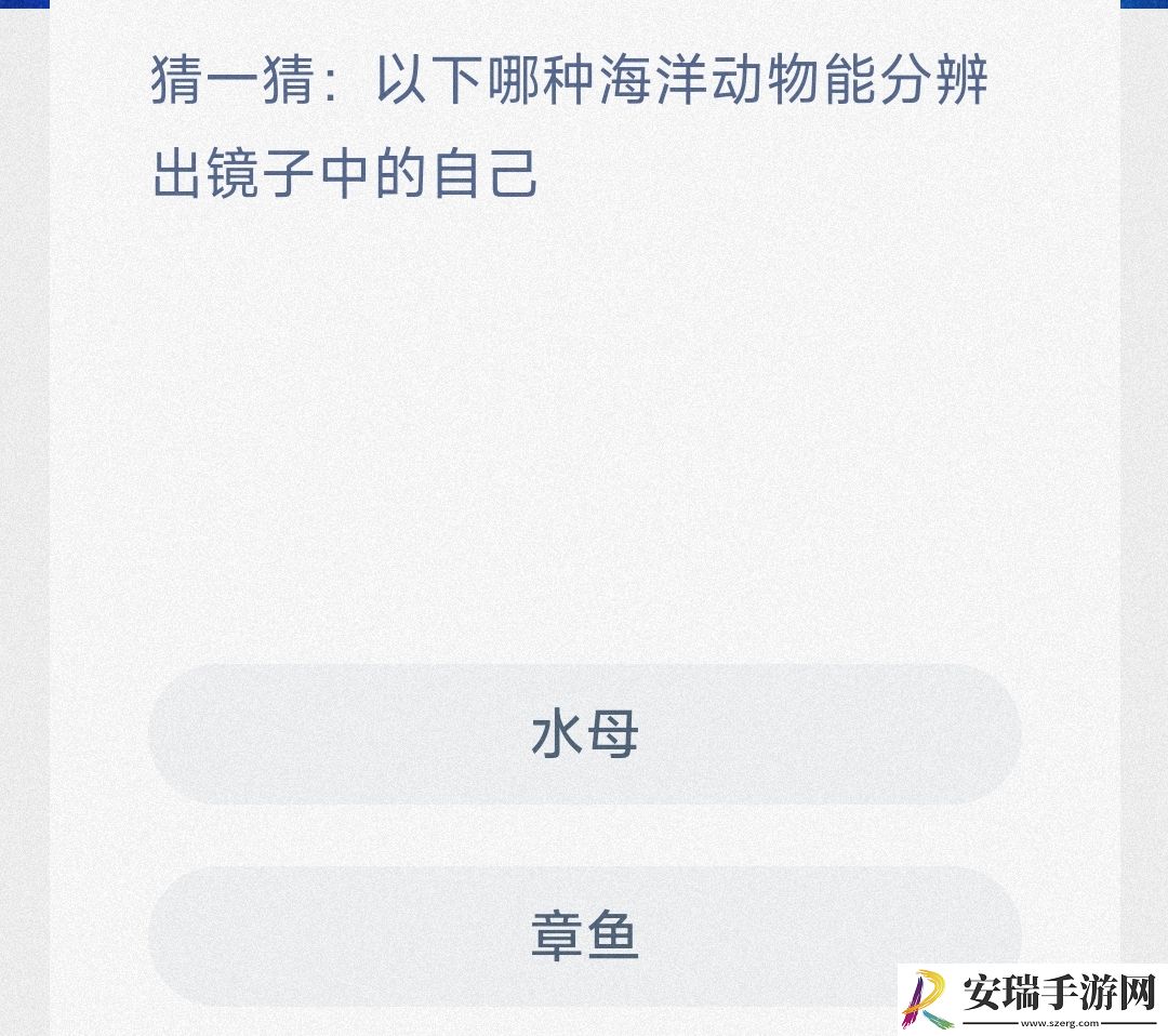 猜一猜以下哪种海洋动物能分辨出镜子中的自己