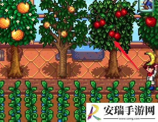 星露谷物语果酱怎么制作