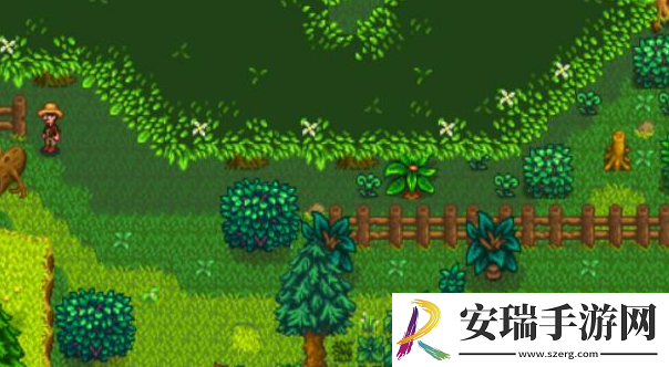 星露谷物语森林怎么解锁