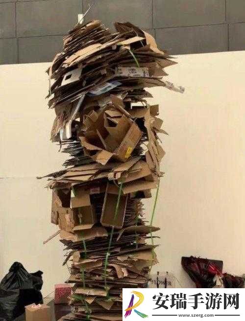 央美毕业展作品被吐槽废纸壳