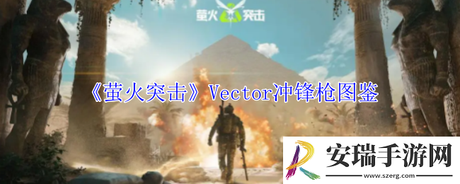 萤火突击Vector冲锋枪有什么属性