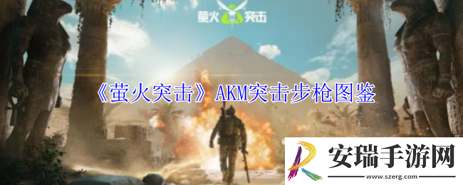 萤火突击AKM突击步枪有什么属性