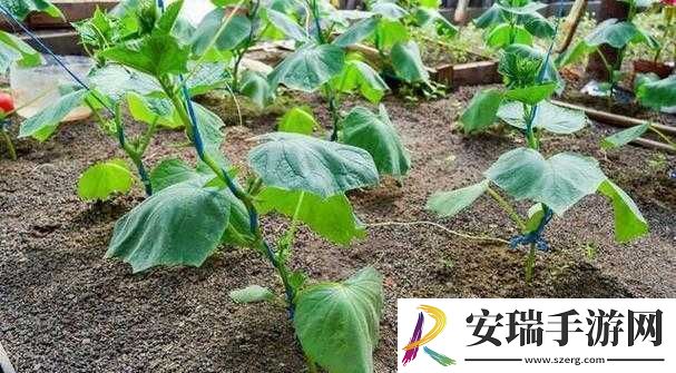 旅游换伴交流故事我是方便面