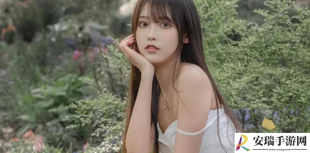 seo短视频网页入口网站推广