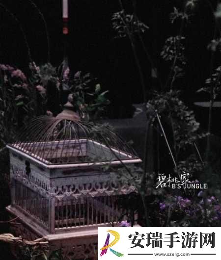 有染1V2阮然