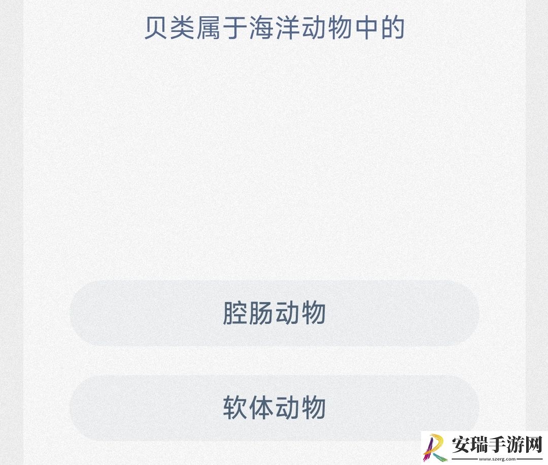 贝类属于海洋动物中