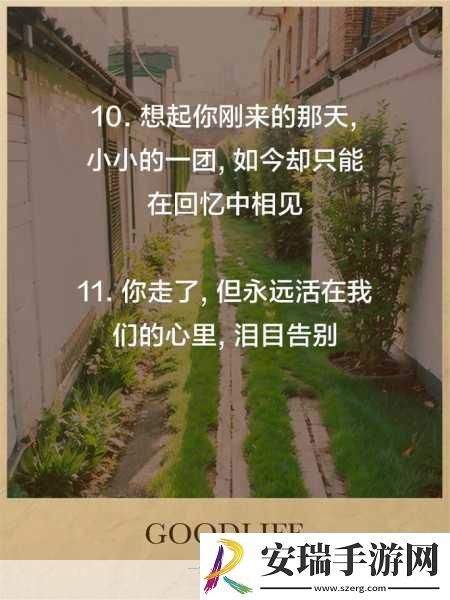 我想你高清MV观看视频1.追忆与思念交织的高清MV