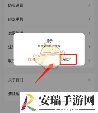 飞猫盘怎么清理缓存