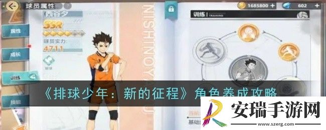 排球少年新的征程角色怎么养成