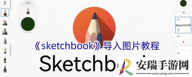 sketchbook怎么导入图片