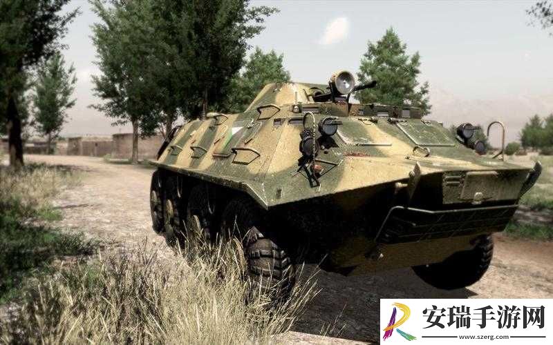 深入剖析武装突袭