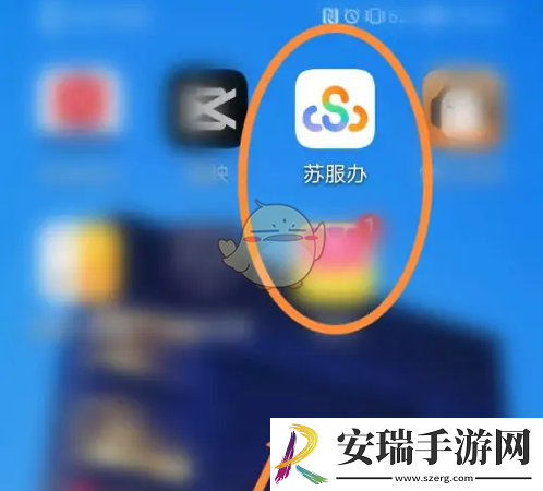 苏服办怎么看发票
