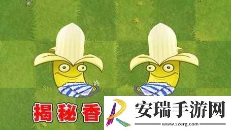 探秘植物大战僵尸