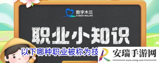 以下哪种职业被称为技术界的红娘