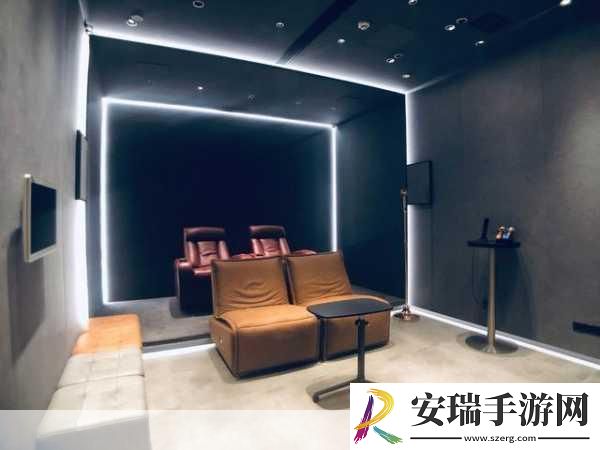 顶级私人影院