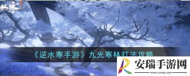 逆水寒手游九光寒林打法是什么