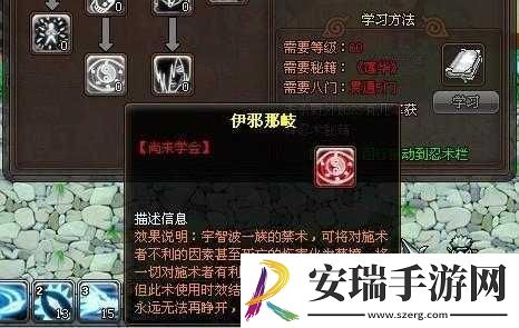 探索火影世界