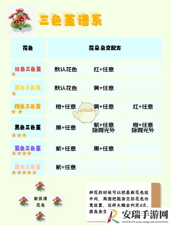 心动小镇杂交花怎么种