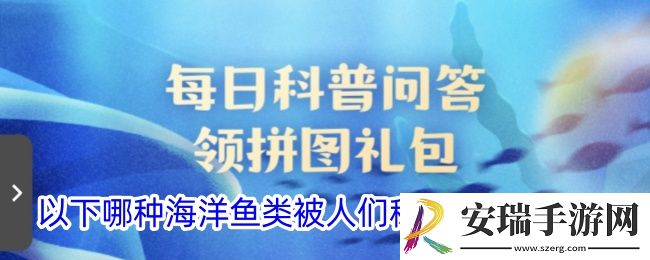 以下哪种海洋鱼类被人们称为会游泳的头
