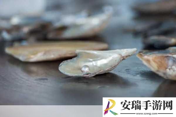 狂涨肥白的玲珑的肉蚌