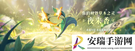 王者荣耀9周年庆数据回顾解锁植物有哪些