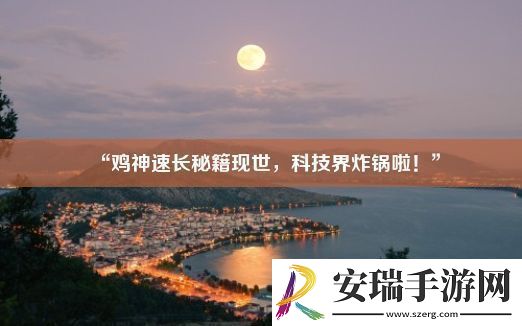 “鸡神速长秘籍现世