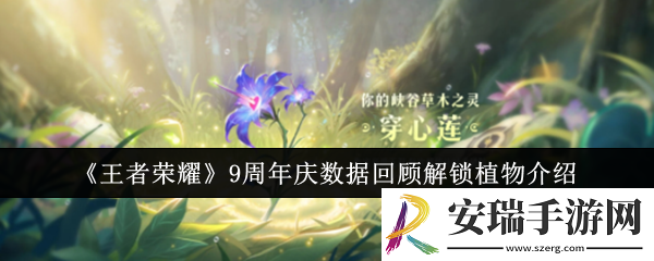 王者荣耀9周年庆数据回顾解锁植物有哪些