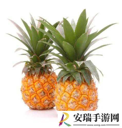 高爱菠萝视频