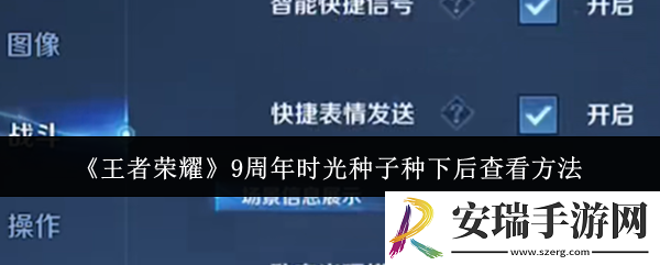 王者荣耀9周年时光种子种下后怎么查看