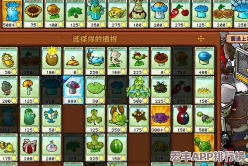 创新策略揭秘