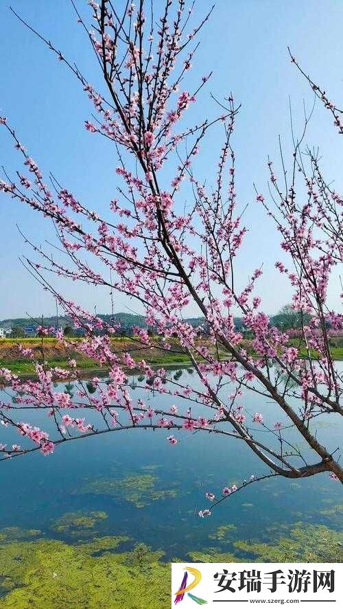 桃花洞口已是溪水潺潺