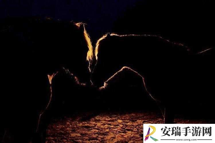 黑暗与光明中神秘的马究竟身处何方令人苦苦追寻
