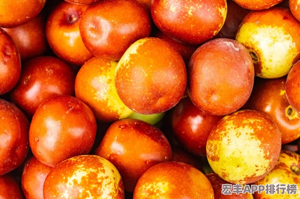 迷失之光