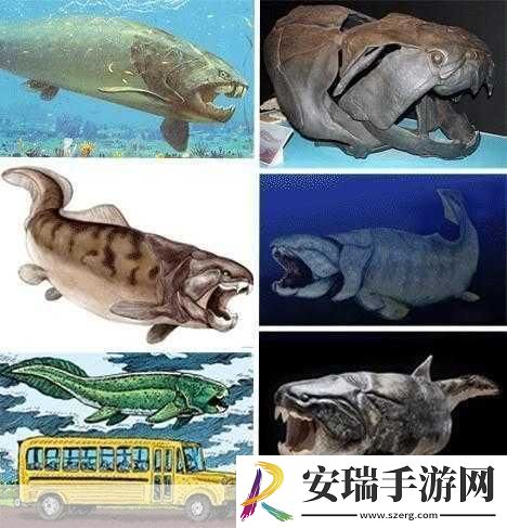 得到超级肉禽系统的紫岭红山有什么特别之处