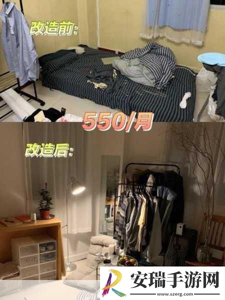 出租房里的交互高