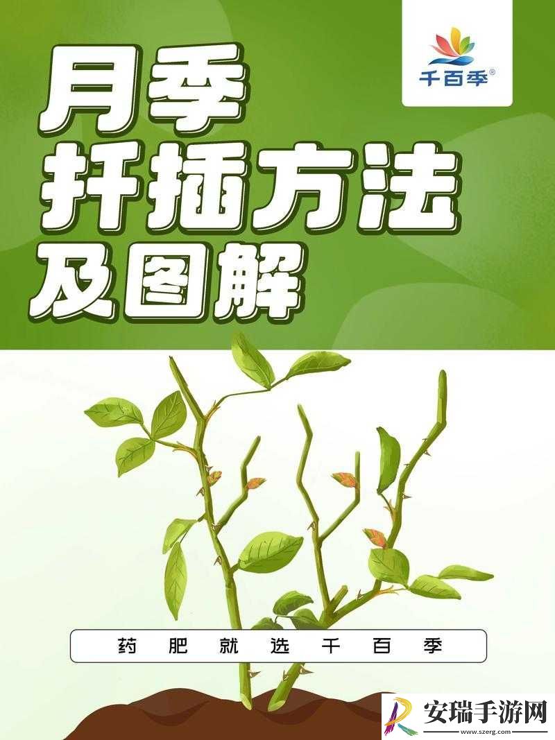 韩式