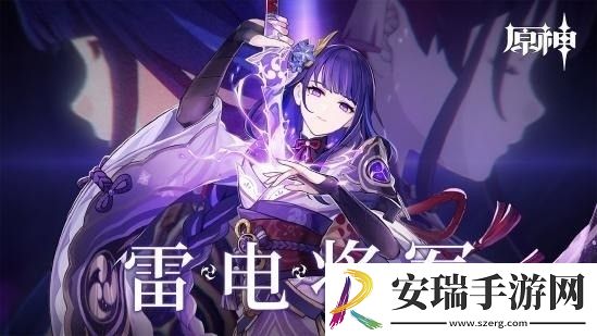 原神雷电将军配队指南