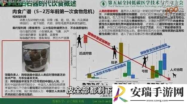 肉食教师食取报告